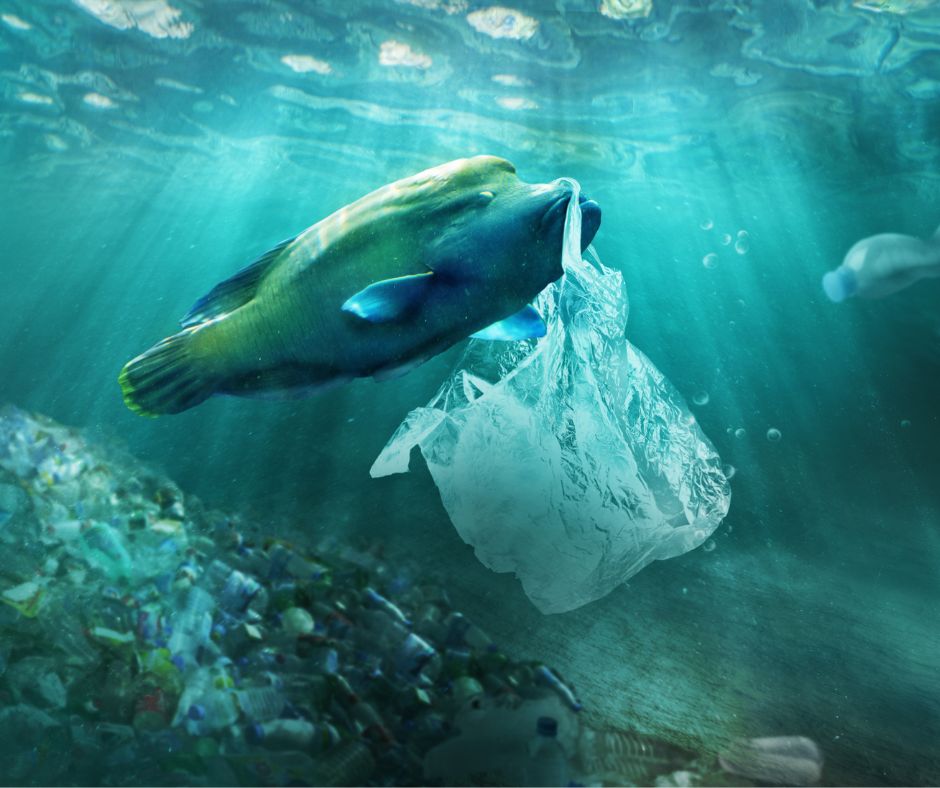 dia-sin-bolsas-de-plastico-altertec-energy-solutions